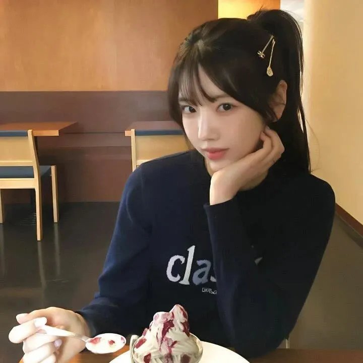 树袋熊